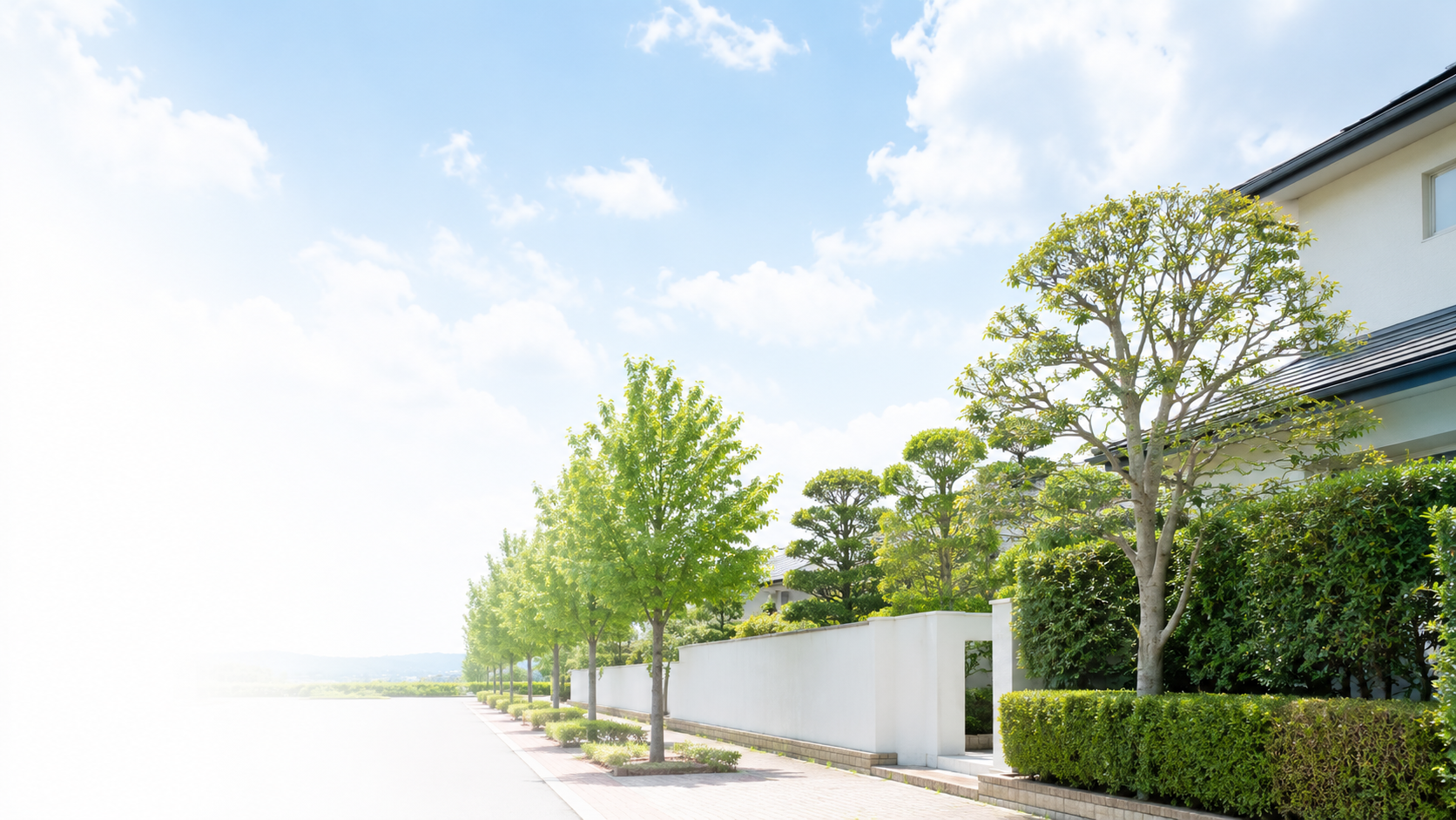 剪定を終えた庭木と生垣が続く、明るい住宅地の通り