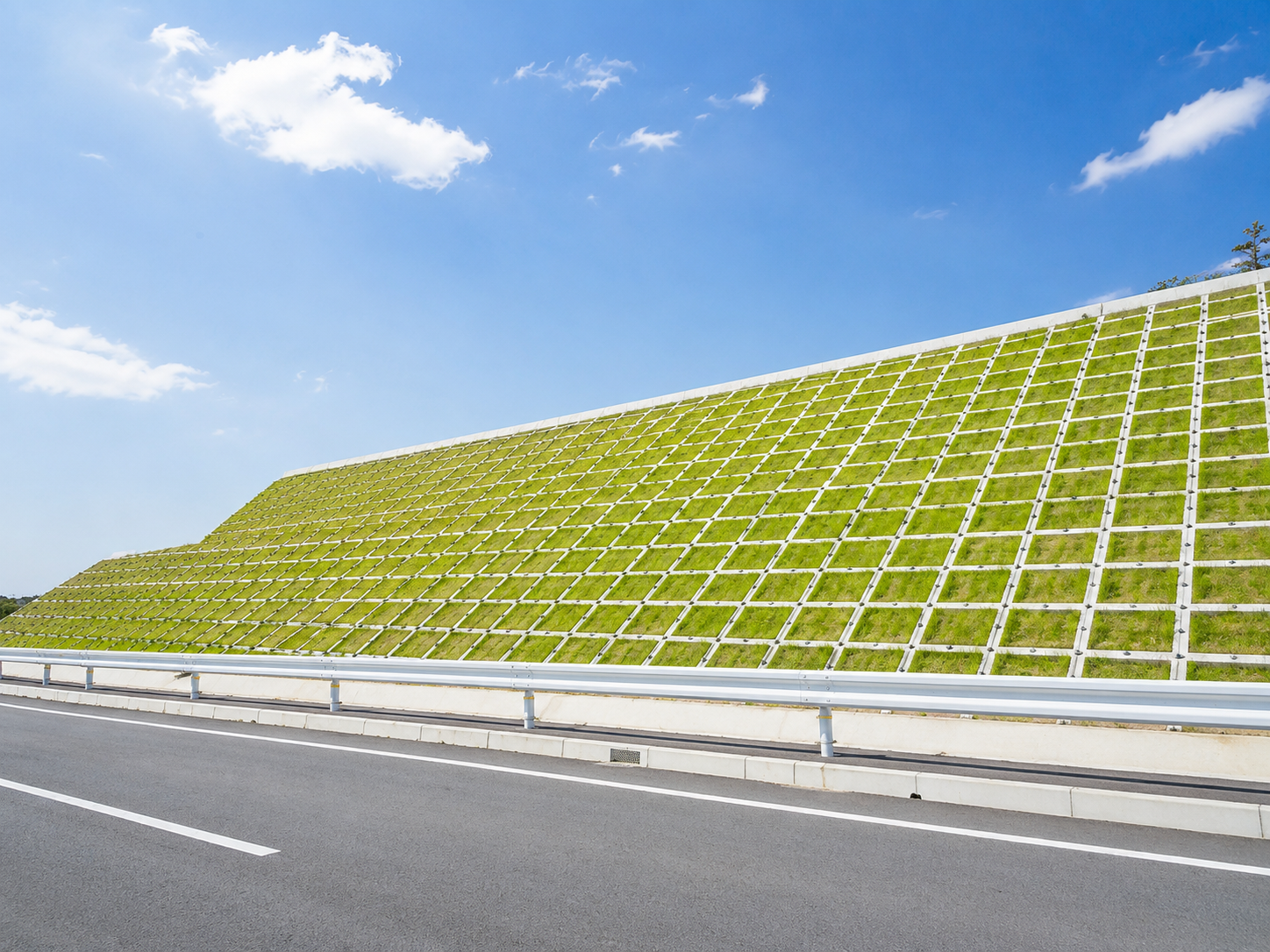 法枠が組まれ、一面に草が生え揃った道路脇ののり面