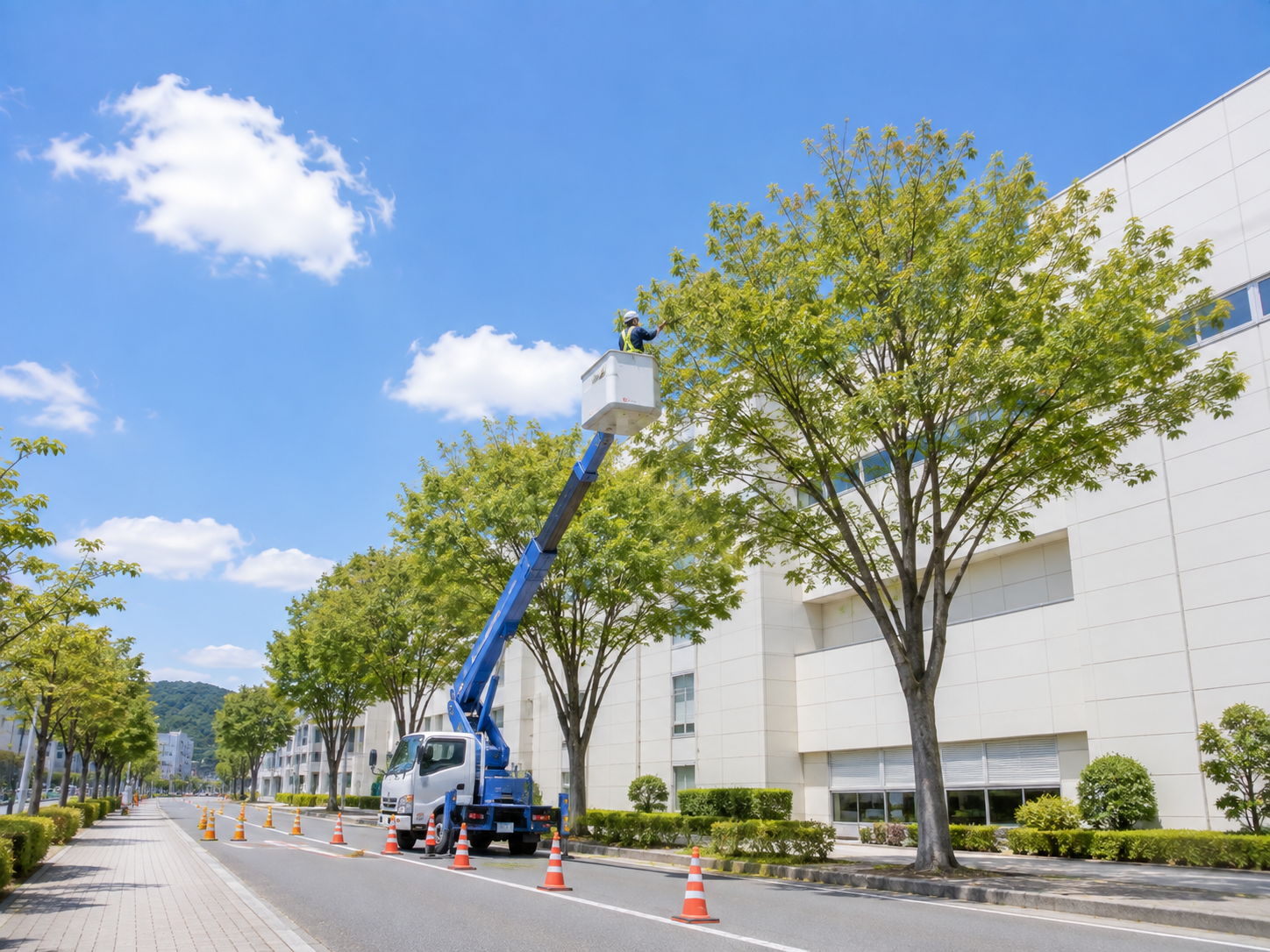 高所作業車を使った街路樹の剪定作業